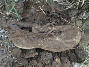 Ein Saucony-Laufschuh in etwa meiner Größe. Da war ich doch etwas erschüttert wie verrottet der schon war. Außerdem erinnerte er mich daran, endlich mal wieder einen Teil meines Tragebestandes auszurangieren und zu vermüllen, denn manche meiner Schuhe gehören unbedingt in den Müll!