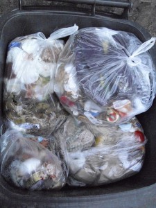 Als die Mädels feststellten, dass noch bis zum Müllabfuhrtermin genug Platz in unserer Mülltonne war, kamen die lila Stiefeletten in den Müllbeutel.