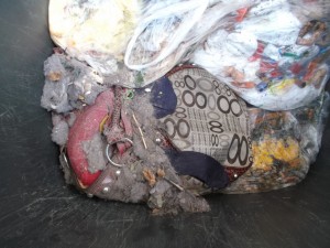 Unsere Mülltonne hat auch die Handtasche mit ihrem sexy Inhalt &quot;zur Sau gemacht&quot;!