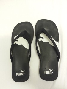 puma1.jpg