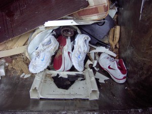 Dafür, dass die Turnschuhe erst vor etwa einer Minute jäh aus dem Schuhregal im Haus auf die Straße zur Sperrmüllabfuhr gezerrt wurden, zeigen sie sich schon sehr vermüllt.