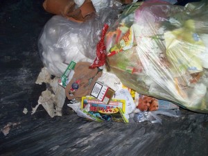 Im benachbarten Müllcontainer lag diese einsame Strumpfhose.