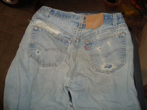 levis 02.jpg