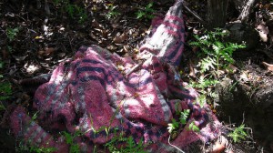 Decke gefunden auf einer Waldlichtung. Liegt schon Jahre da