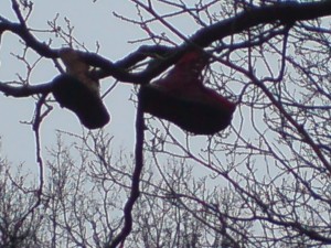 roter kangaroos stiefel und brauner stiefel