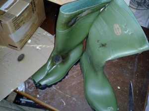 20130402_131737 (800x600) (800x600).jpg