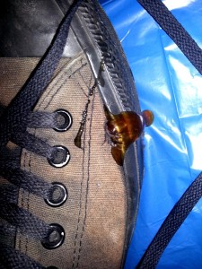 20130507_200850_1.JPG