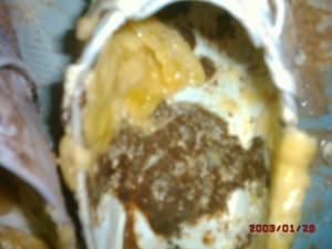 DSCK0d015.JPG