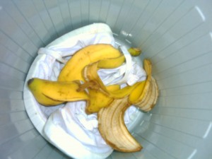 ...die verranzte Bananenschale vom Vortag...