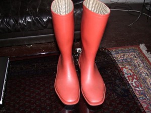 phoenix-spermuell1.JPG (187.37 KiB) 8693 mal betrachtet rote phoenix von sperrmüll