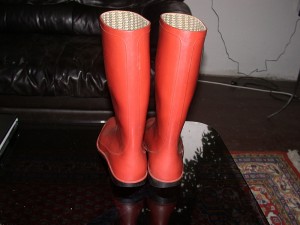 phoenix-sperrmuell3.JPG (176.82 KiB) 8836 mal betrachtet vom sperrmüll, kaputt, sohle durch, absätze schief abgelaufen