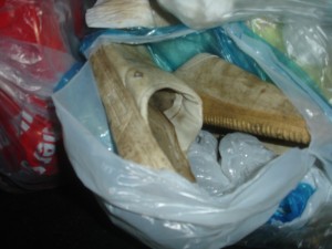 0DSC06682.JPG (75.58 KiB) 13151 mal betrachtet 2 Paar irgendwelcher oller Schlappen