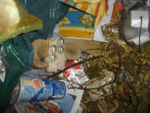 0DSC06719.JPG (143.32 KiB) 12828 mal betrachtet vermüllte Latschen am Tonnenboden