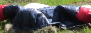 IMG_0480.JPG