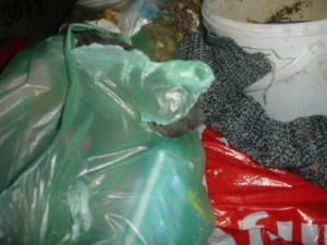 0DSC06772.JPG (65.8 KiB) 12269 mal betrachtet und wieder spickt da eine Sohle heraus