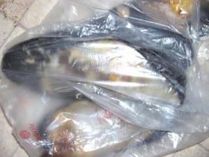 PICT4326.JPG