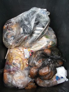 Müll0613 144.jpg (336.87 KiB) 5575 mal betrachtet Endlich: Nach einem Monat lag der Küchenmüllbeutel in unserer Mülltonne!