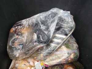 Müll0613 145.jpg (277.45 KiB) 5587 mal betrachtet Seit gut fünf Wochen lagen Lauras Boxerstiefelchen nun im Küchenmüll!