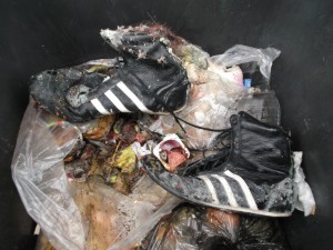Müll0613 147.jpg (310.73 KiB) 4957 mal betrachtet Abgestorbene Madenlarven klebten auch am Vorfußbereich des einen Sneakers.
