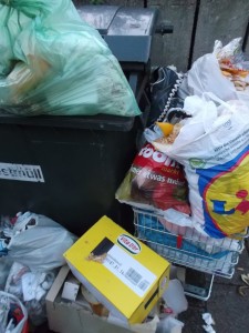 Kein Drankommen mehr an den Restmüllcontainer.