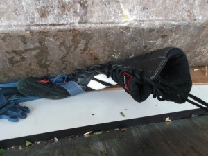 In der Rucksackschlaufe verheddert - keine Chance freizukommen.