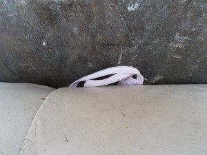 Armes verlorenes rosa Girly-Höschen!