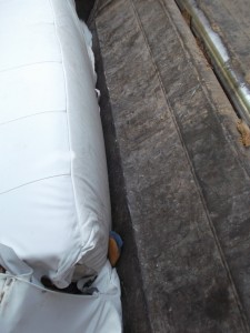 Müll0613 361.jpg (292.71 KiB) 6081 mal betrachtet Höschen und Ringerstiefel waren kaum noch zu sehen, so plattgepresst waren die nun.