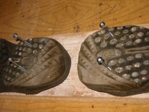 IMG_6991.jpg