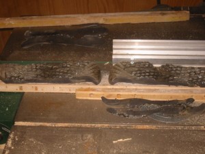 IMG_6998.jpg