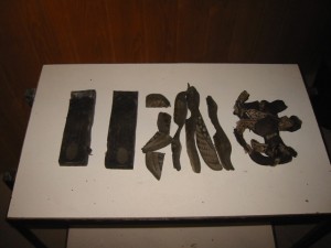 IMG_7001.jpg