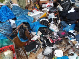 Müll0613 469.jpg (326.42 KiB) 10435 mal betrachtet Zuerst warf sie kleine Mülltüten, sogar Müllbeutel mit Hygieneabfall und Badabfällen und einen Küchenmüllbeutel mit Schwung auf die Müllhalde. Allerlei Zeug rutschte aus den nicht verknoteten Tüten. ob sie eine Kontrolle durch den Deponiearbeiter vermutete?