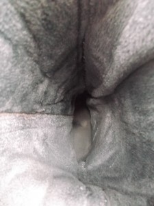 Müll0813 078.jpg (278.97 KiB) 5920 mal betrachtet So geile Einblicke ist das süß duftende verschwitzte Innere würde es bald nicht mehr geben.