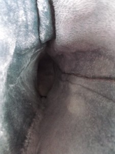 Müll0813 079.jpg (286.28 KiB) 6233 mal betrachtet So schön kuschelweich, aber alles nur noch wertloser Müll! Vielleicht werden hier bald die Maden drin spazieren gehen und die "Heiligen Hallen" erkunden?!