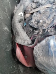 Müll0813 276.jpg (318.08 KiB) 5469 mal betrachtet Was für ein demütigendes schmutziges Ende für die Stiefel: Der Dreck landete auch im geilen roten Innenfutter. Jetzt waren sie total versaut. Die Vermüllung galoppierte; ich kam kaum noch mit!