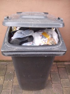 Anja02 071.jpg (197.73 KiB) 10485 mal betrachtet Ich sah am nächsten Tag unsere Mülltonne und ahnte schon, dass weitere Opfer auf ihr schmutziges Schicksal warteten.