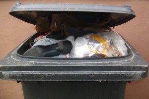 Anja02 074.jpg (301.32 KiB) 10485 mal betrachtet Klasse! Schon wieder stand der Mülltonnendeckel offen.