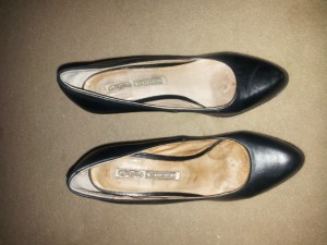 Buffalo pump