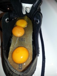 20130909_170329.jpg