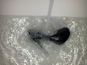 20130911_145754.jpg