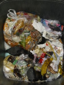 Anja02 094.jpg (418.15 KiB) 9678 mal betrachtet Die einst so edlen und geilen Buffalo-Lackstiefel hatten sich ihrem Schicksal gefügt und beinahe hätte ich sie übersehen, so vermüllt waren sie schon!