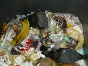 Anja02 095.jpg (210.85 KiB) 9678 mal betrachtet Dafür, dass die Buffalos nur lose und nicht in einem Küchenmüllbeutel weggeschmissen wurden, waren sie schon ziemlich versaut worden.