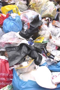 Marina09 020.jpg (396.26 KiB) 11418 mal betrachtet Warum wurden diese Kult-Buffalos nur verstoßen?