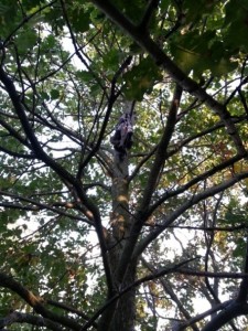 20131001_173612.jpg (146.74 KiB) 15500 mal betrachtet ahh, das Oberteil hängt noch oben. Gut