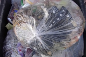 Jessica02 004.jpg (293.51 KiB) 9532 mal betrachtet Unsere Mülltonne stand schon bereit zur Müllabfuhr, als noch Lauras Winterchucks in einem siffigen Küchenmüllbeutel obenauf kamen.