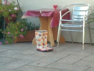 P1524_13-11-10.JPG
