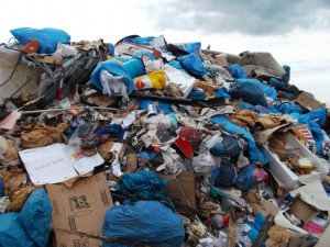 Müll0813 188.jpg (305.99 KiB) 10876 mal betrachtet Solch ein Müllhaufen ist es echt wert, immer wieder genau betrachtet zu werden. Man findet immer "neues".