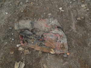 Müll0813 198.jpg (269.61 KiB) 10876 mal betrachtet Zuerst kaum zu identifizieren.