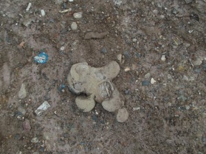 Müll0813 201.jpg (277.63 KiB) 10426 mal betrachtet Was für ein böser Anblick! Ein Kuschelstofftier war das mal!