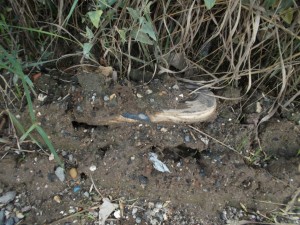 Müll0813 203.jpg (309.73 KiB) 10408 mal betrachtet Das könnte was interessantes gewesen sein?!