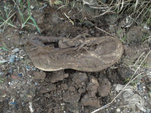 Müll0813 204.jpg (284.12 KiB) 10426 mal betrachtet Also wie den Buffalo aus dem Dreck puhlen um den Fund zu identifizieren.